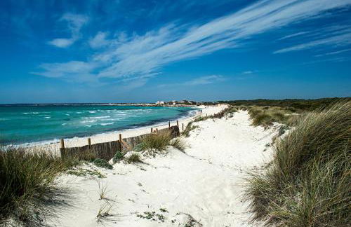 Finca Agroturismo Sa Cova den Borino - Foto 60