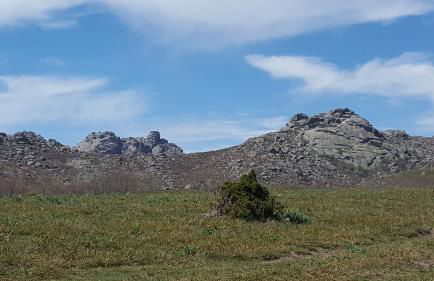 Cantinho Ti Carlos - Foto 18