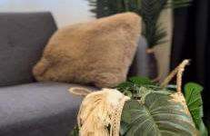 ☆Loft 35m2 Lyon 6 Ménage inclus/pas de check out☆ - Foto 12