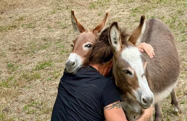 Domaine Epona - Foto 19