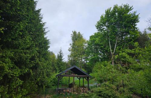 Domek Jelonek nad jeziorem i rzeką - Foto 14