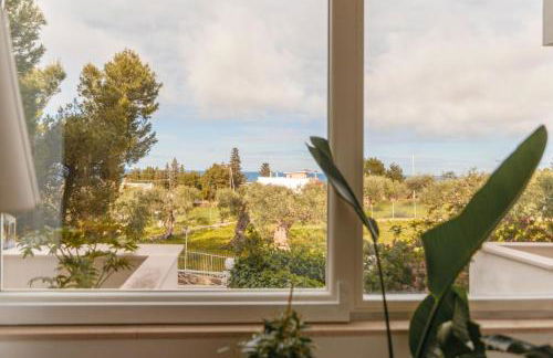 Musa Maris - Foto 41