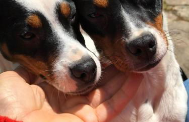 Agroturismo Anziola - Foto 21