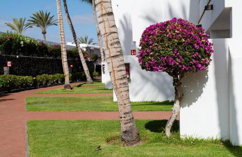 Plus Fariones Apartamentos - Foto 32