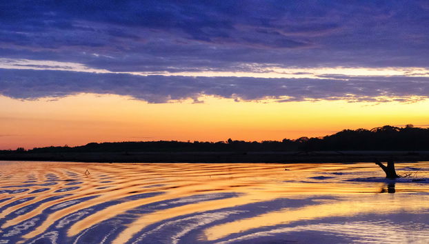 Balade en bateau au coucher du soleil avec observation de capybara