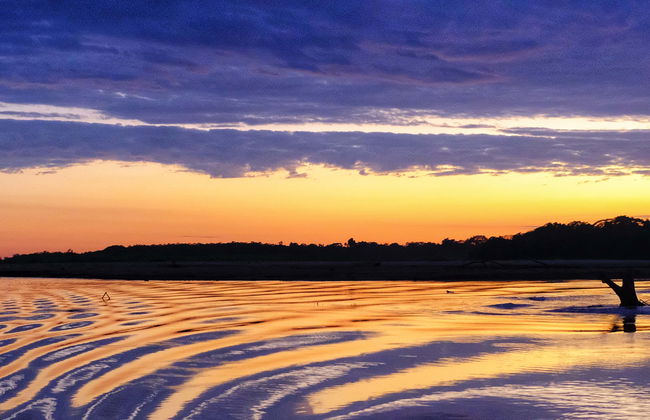 Sunset River Boat + Capybara Watching - Foto 5