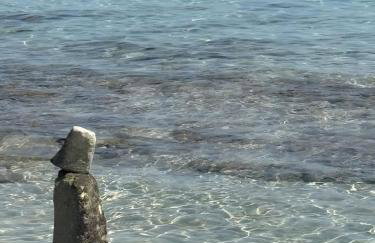 Villa Torretta - Mare Salento - Foto 45