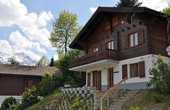 Stachelbeere OG - Foto 25