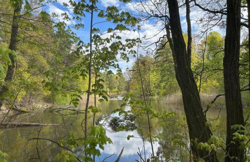 Bungalow Biberspur - Foto 6