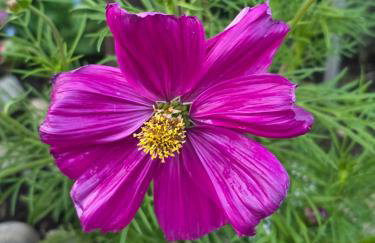 Apartments Žegarac House - Foto 39