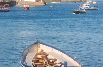 Jack's House - Foto 61