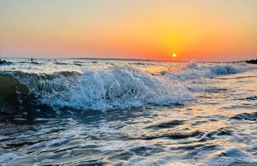 Hermes Grove - Foto 21