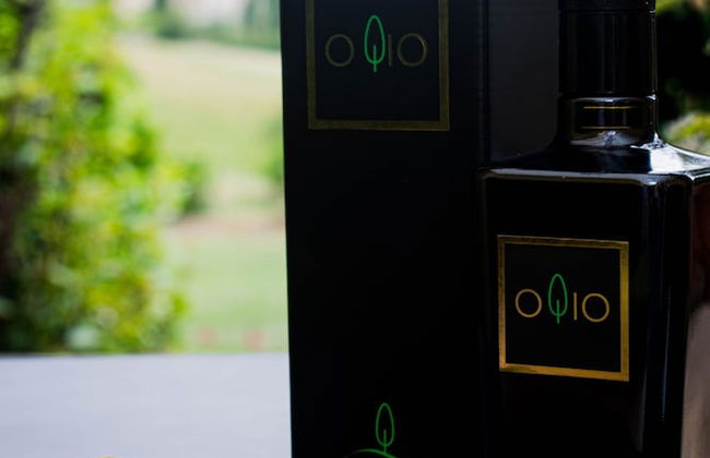 Fattoria Sant'Andrea - Photo 37