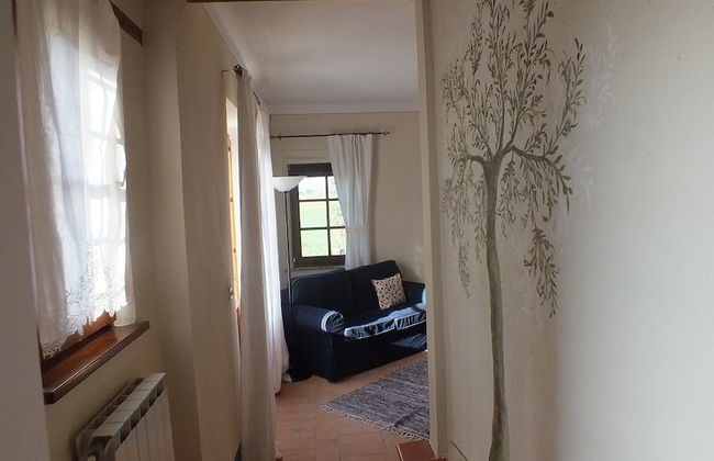 Fonte Pecciano 1856 - Photo 13