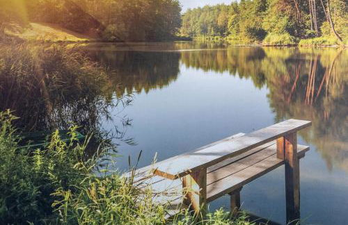 Ferienhaus Am Reiterhof - Photo 29