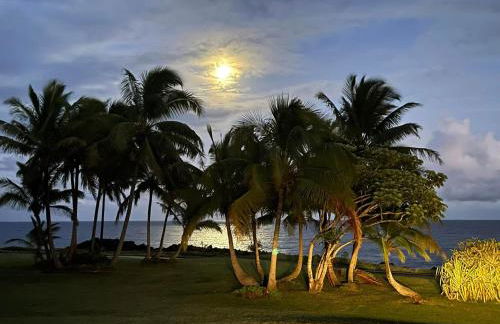 Comfort Nest - Foto 56