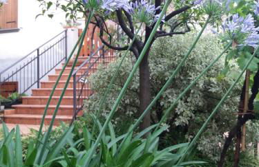 La casa del Maestro - Foto 51