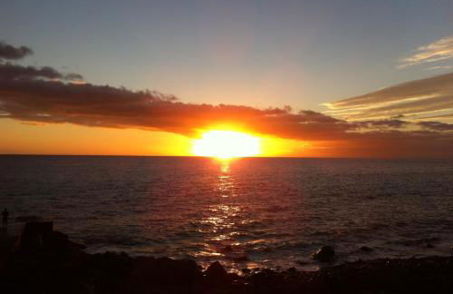 Blooming Botanic Houses - Foto 41