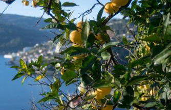 Casa da Torre, Porto Manso - Foto 21
