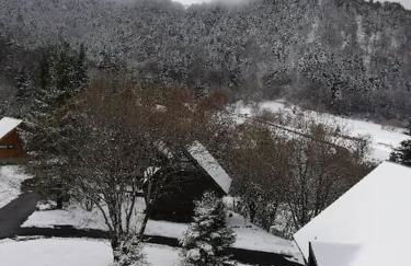 appartement avec balcon au Mont Dore - Foto 15