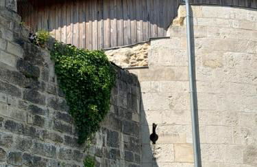 jolie maison dans petit village - Foto 33