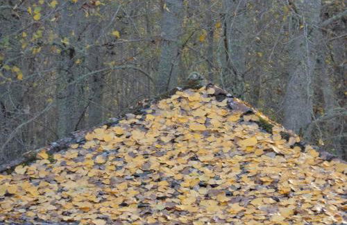 Apimonte O Cantinho da Maria - PN Montesinho - Foto 57