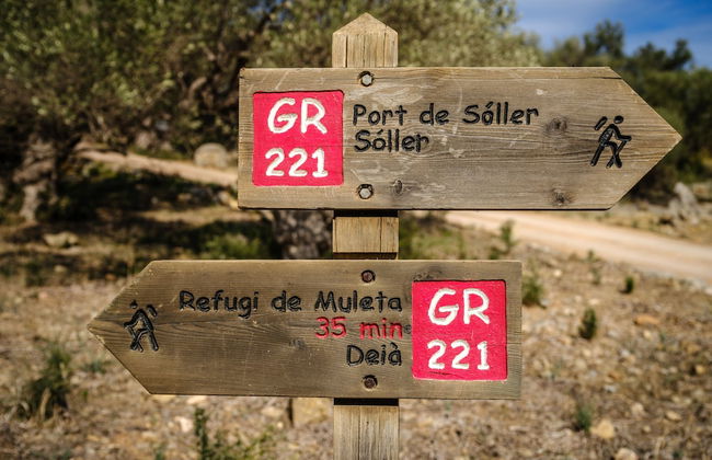 Muleta de Ca S'Hereu Agroturismo - Photo 45