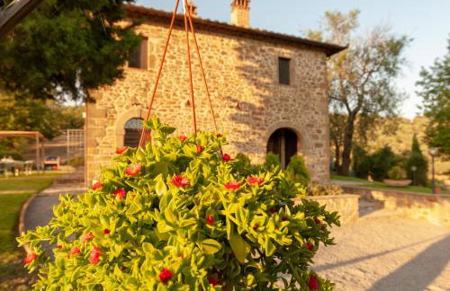 Agriturismo Vocabolo Poggio del Pero - Foto 47
