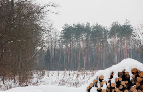 Gajówka Wiry - Foto 38