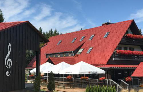 Berggasthof Heuberghaus, direkt am Rennsteig - Foto 11