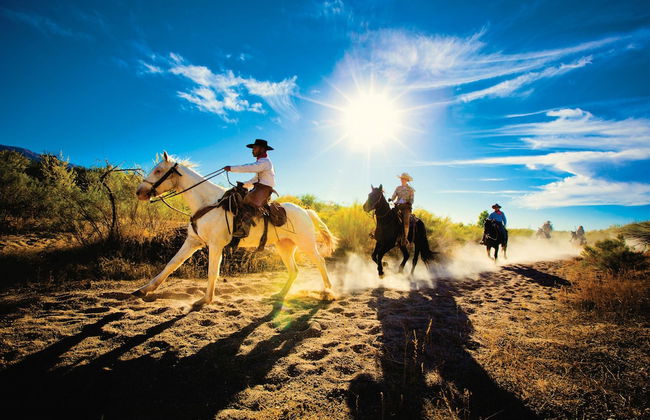 Tanque Verde Ranch - Photo 76
