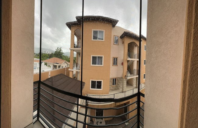 Luxury Living Modern & Contemporary Home With Brand New Pool in Manor Park - Foto 17