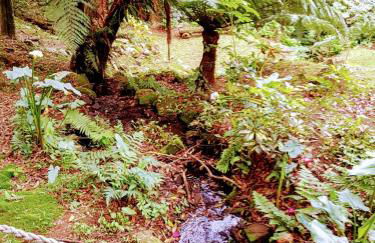 Duplex elegante Dois Quartos Em Gramado - Foto 32