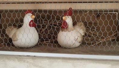 Gites Les Cocottes - Foto 3