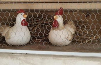 Gites Les Cocottes - Foto 3