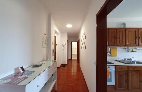 Lousã's Brown & White - Foto 22