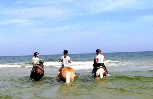 Babie Lato - Foto 48