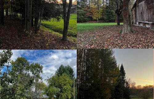 Śpimy u Dziadków - APARTAMENTY BIESZCZADY - Foto 44