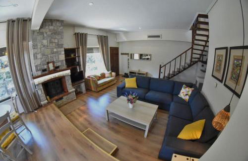 Lake Plastira Lodge - Photo 5