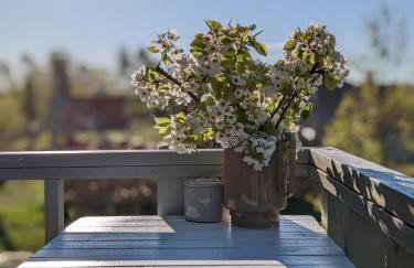 hurra dziura - Foto 35