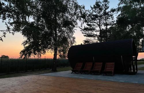 U Progu Lasu - Foto 9