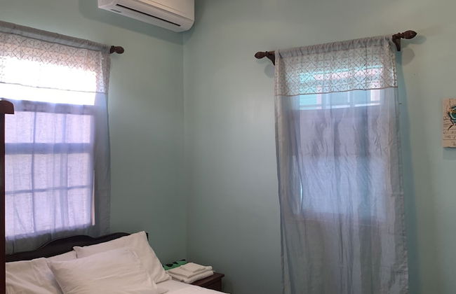 The Lily Pad - Photo 4