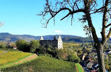 Ferienwohnung "Am Blauwasser" mit Infrarotkabine - Foto 22