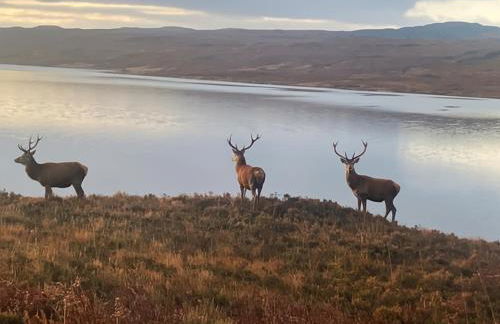 Overscaig Annex - Uk51359 - Foto 14