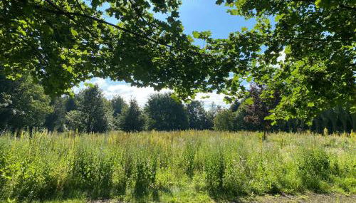 NEU! Luxus Apartment - Foto 2