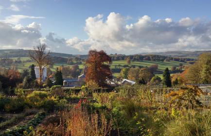 Clover Cottage - Foto 16