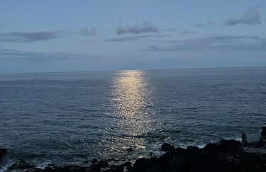 Studio 1 Hab - Foto 22