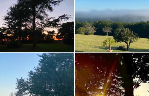 Domaine de Cazal - Gîte 2 pers avec piscine au cœur de 26 hectares de nature préservée - Foto 36
