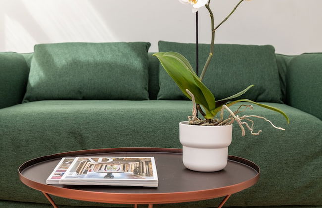 Palazzo Miracoli Apartments - Foto 76