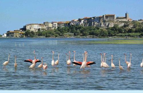 The Studio - Foto 23